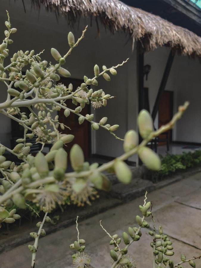 Mimi Kuta Homestay Dış mekan fotoğraf